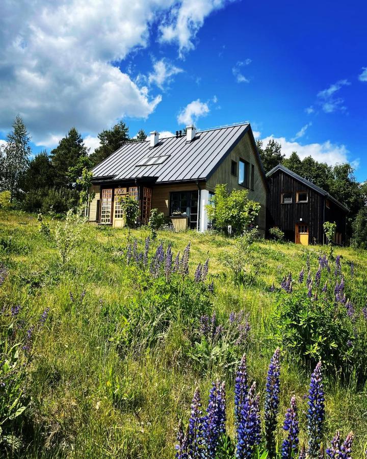 Apartment Krasnogruda 7c
